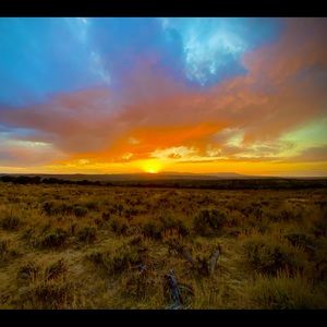 Meet your Posher, Brett